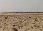 R172-Chott El Jerid-Deserto Salato